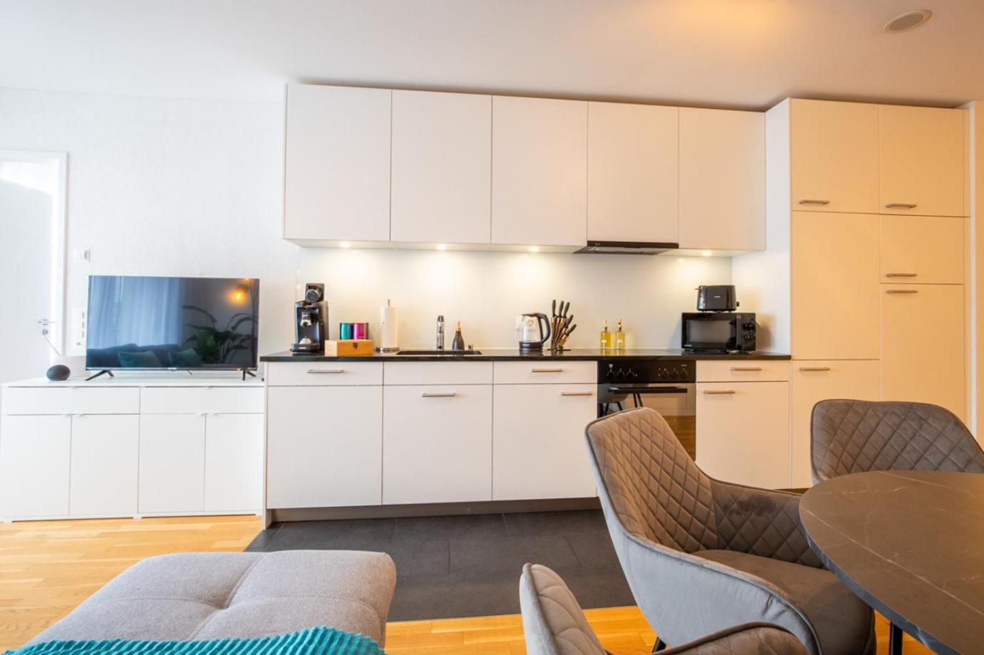 Special Einstein II Apartment Basel, Messe Kleinbasel 10-Star Kültér fotó